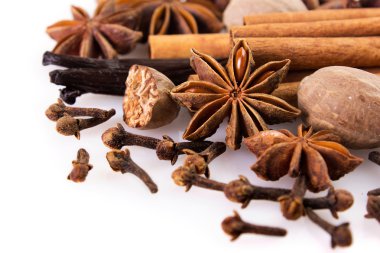 baharat koleksiyonu