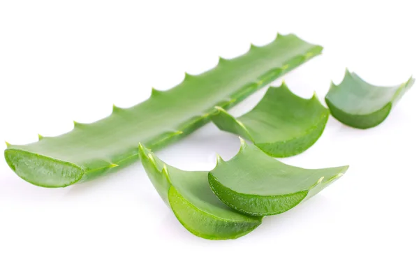 Aloe vera — Fotografia de Stock