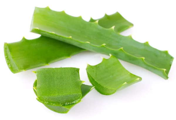 Aloe vera — Stockfoto