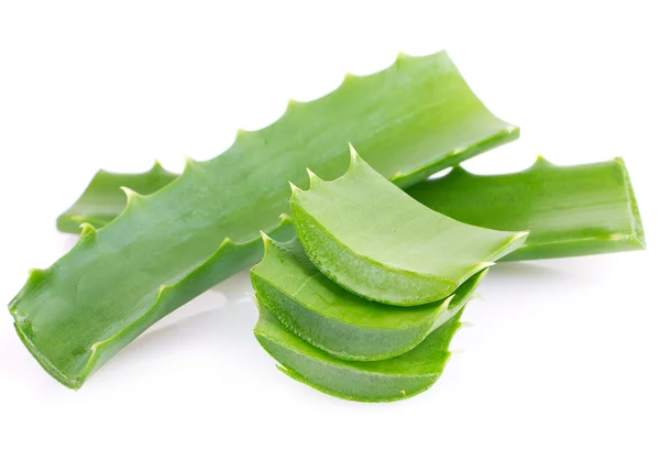 Aloe vera — Fotografia de Stock