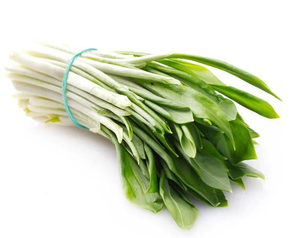 Fresh ramson — Stockfoto