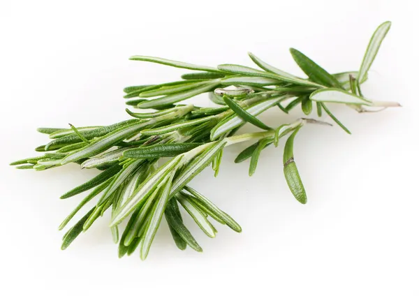 Fresh rosemary — Stock Photo, Image