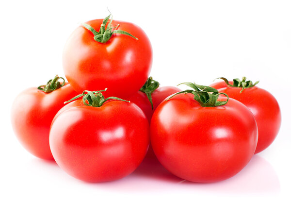 Fresh tomato