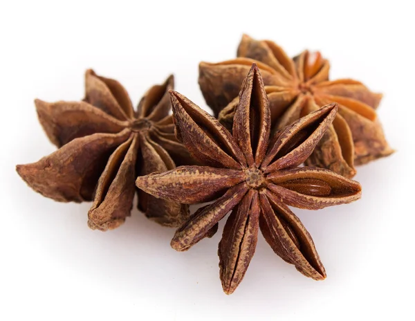 Star anise — Stock Photo, Image