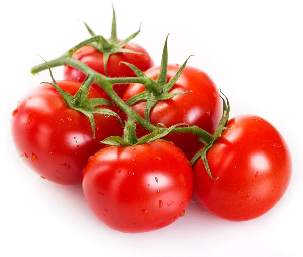 Frische Tomaten — Stockfoto