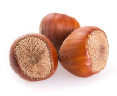 fındık