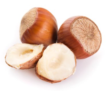 fındık