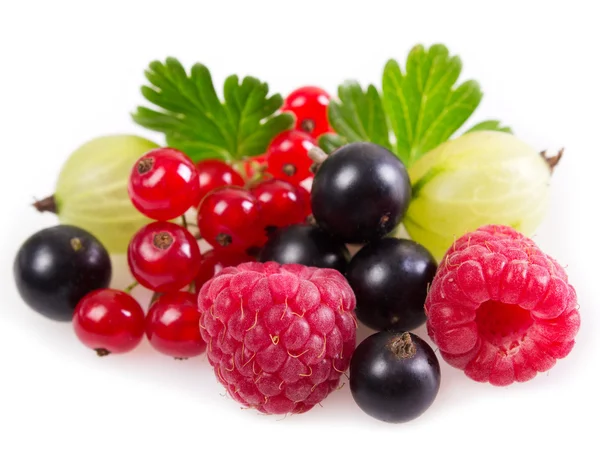 Collection of berries — Stock Photo, Image