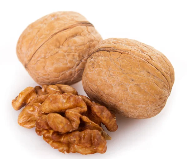 Walnut — Stock Photo, Image