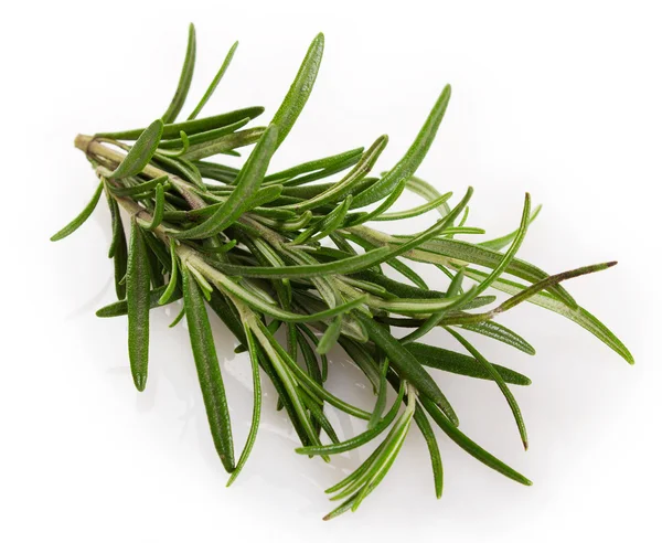 Fresh rosemary — Stock Photo, Image