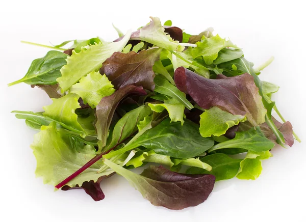 Fräsch sallad — Stockfoto