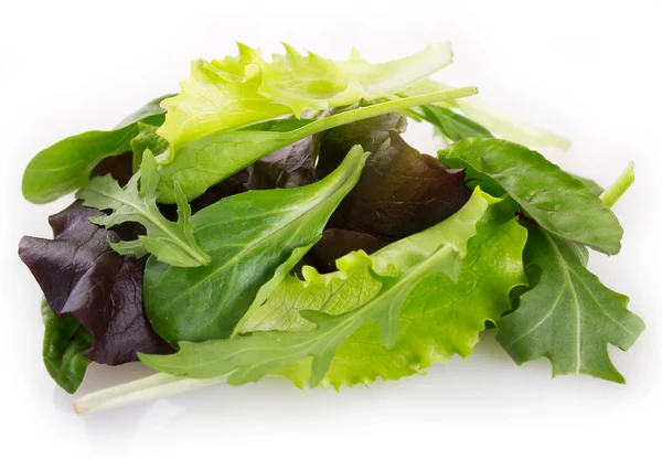 Verse salade — Stockfoto