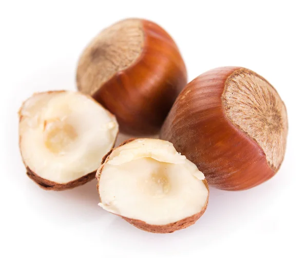 Hazelnut — Stock Photo, Image