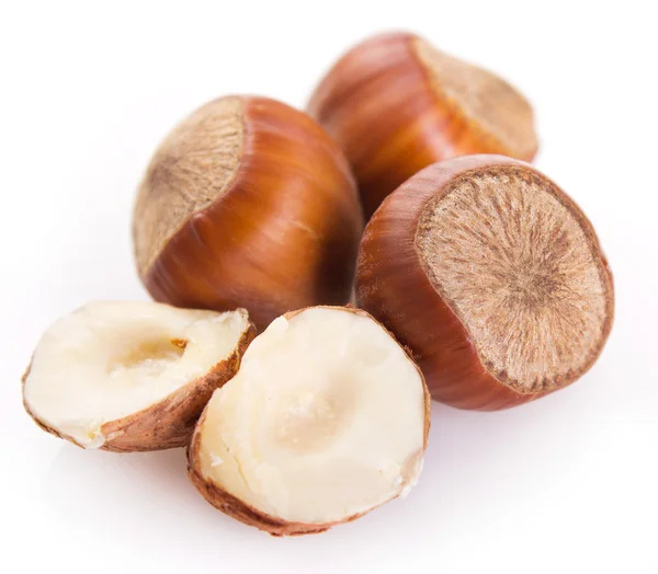 Hazelnut — Stock Photo, Image