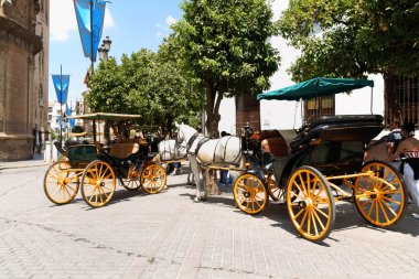 Sevilla, İspanya bakış