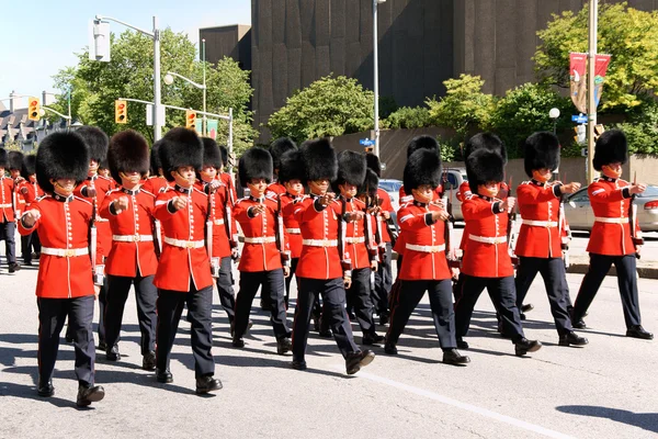 Guardias de granaderos canadienses en desfile en Ottawa, Canadá —  Fotos de Stock