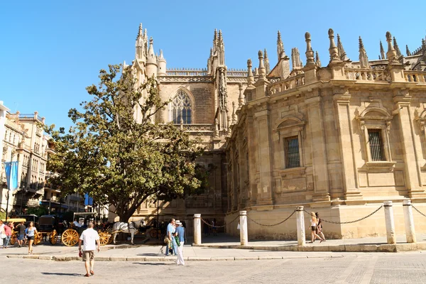 Domkyrkan i Sevilla Stockbild