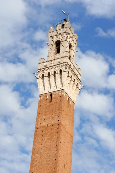 Torre del mangia in siena, Italië — Stockfoto