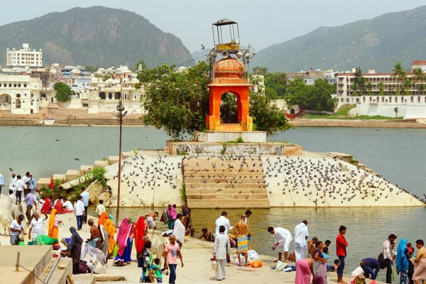 Pushkar Indien Augusti 2016 Män Kor Och Kvinnor Färgglada Sari — Stockfoto