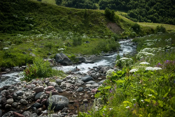 Гірська річка — стокове фото