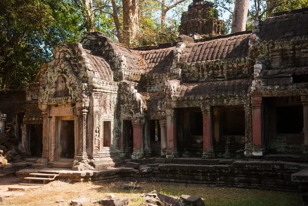 Ta prohm chrám ruines — Stock fotografie