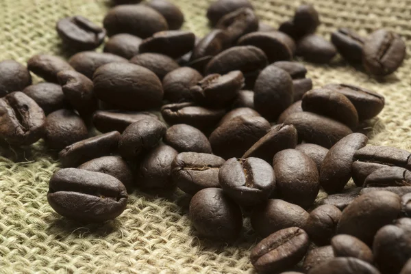 Coffee beans — Stock Photo, Image