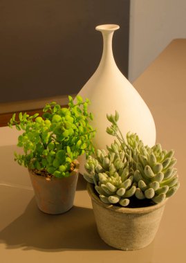 ev eşyaları - bitkilerle dolu iki vazo ve büyük beyaz bir vazo