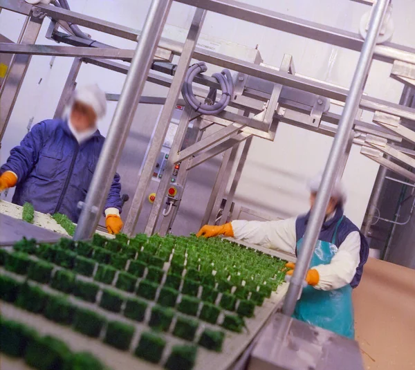 food industry, workers at work in the food production chain