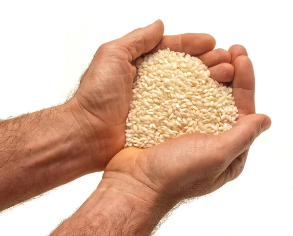 Two Male Hands Rice Beans White Background — Foto Stock