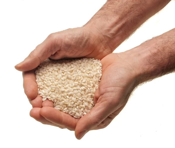 Two Male Hands Rice Beans White Background — Foto Stock