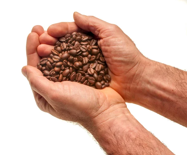 Zwei Männliche Hände Mit Kaffeebohnen Weißer Hintergrund — Stockfoto