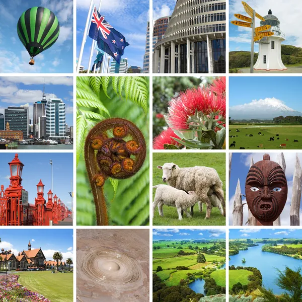 New Zealand landmarks collage — Stock Photo, Image