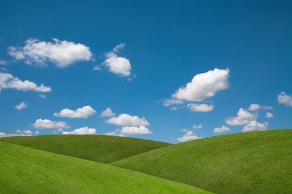 Cielo azul campos verdes — Foto de Stock