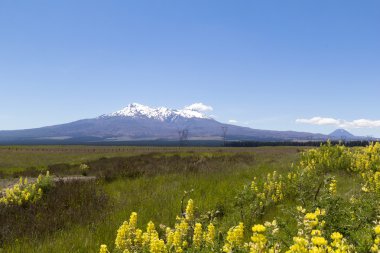 New Zealand volcanoes clipart
