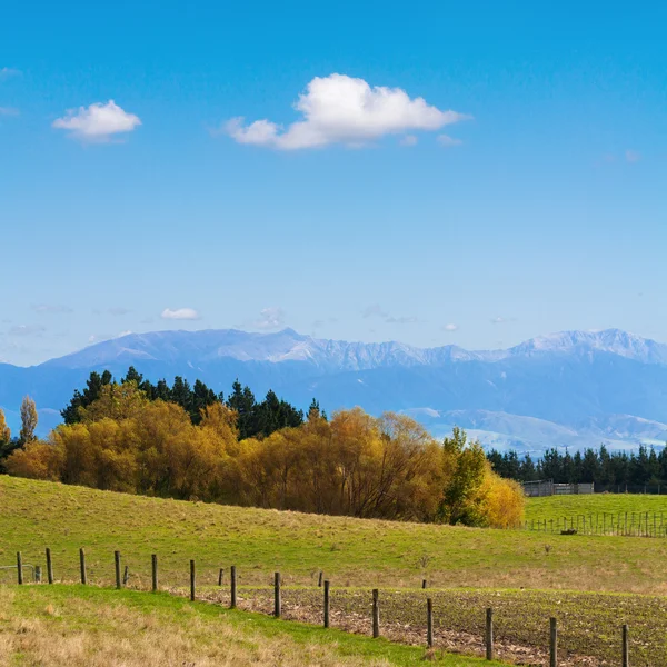 Höstlandskap — Stockfoto