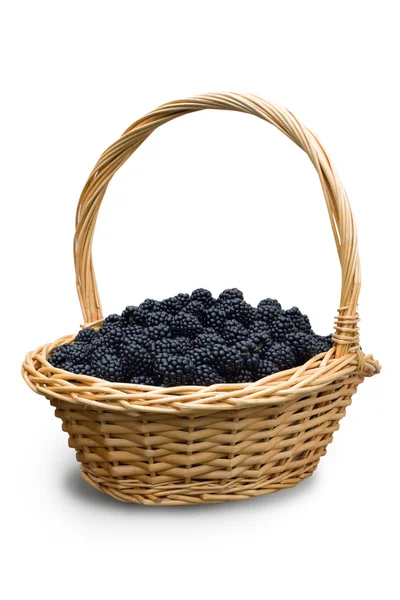 Blackberries in the basket — Stock Photo, Image