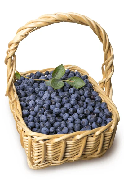 Blueberries in the basket isolated — Stock Photo, Image