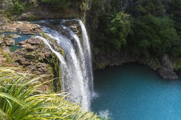 Cascata pittoresca — Foto Stock