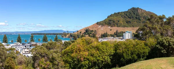 Mount Maunganui Panoramautsikt Nya Zeeland — Stockfoto