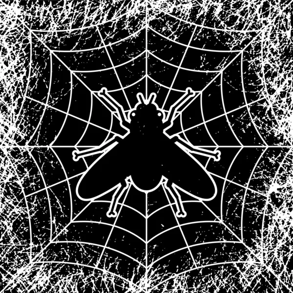Přílet pavouk — Stockový vektor