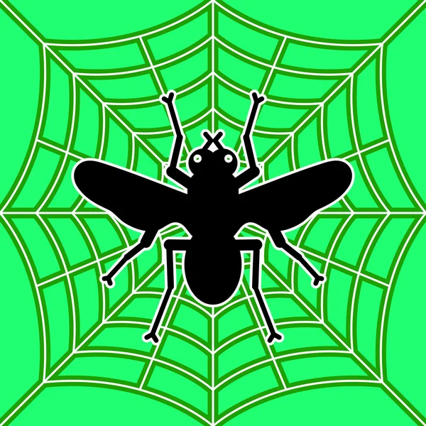 Voler dans l'araignée — Image vectorielle