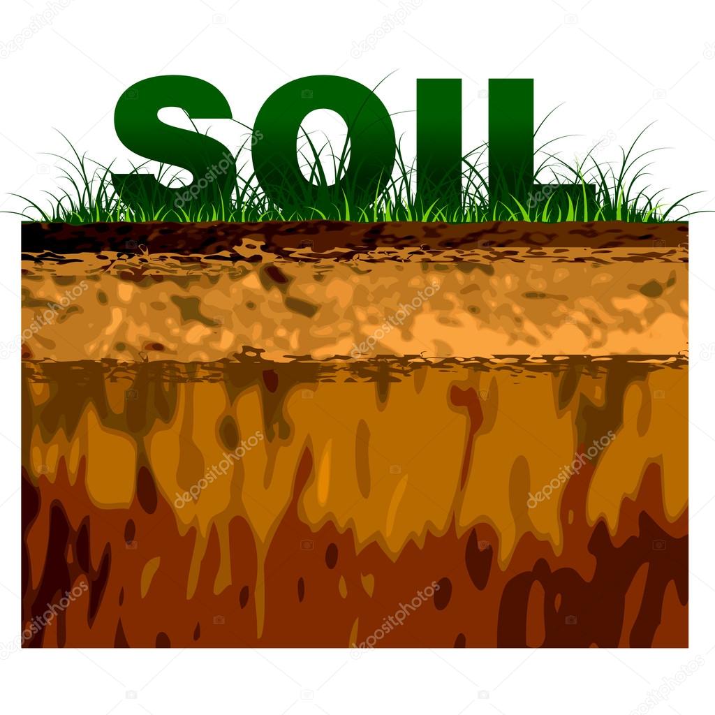Structure of soil