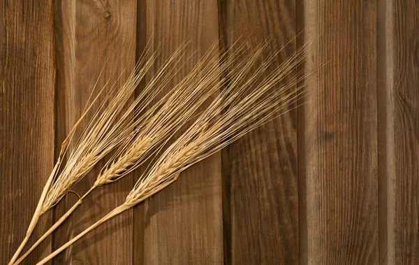 Wheat Ears — Stock Photo, Image