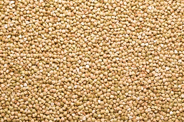 L grano saraceno verde — Foto Stock