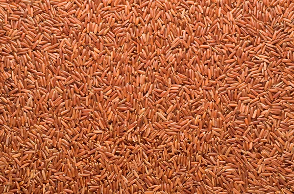 Red rice — Stock Photo, Image