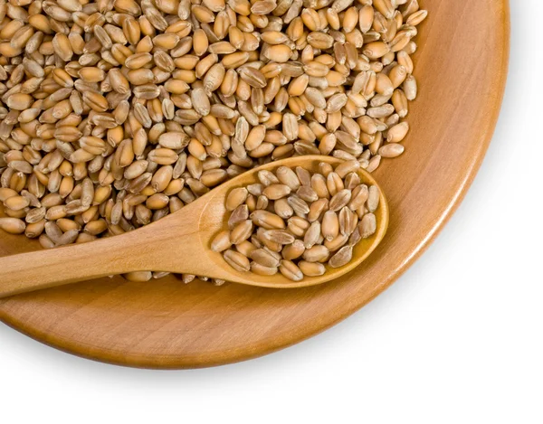Grains of wheat — Stock Photo, Image