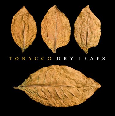 dry leafs clipart