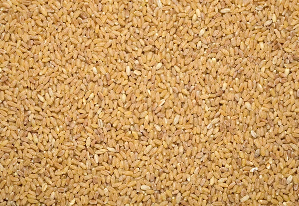 大麦の背景 — ストック写真