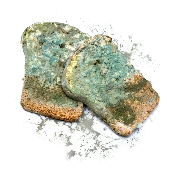 Pão de molde — Fotografia de Stock
