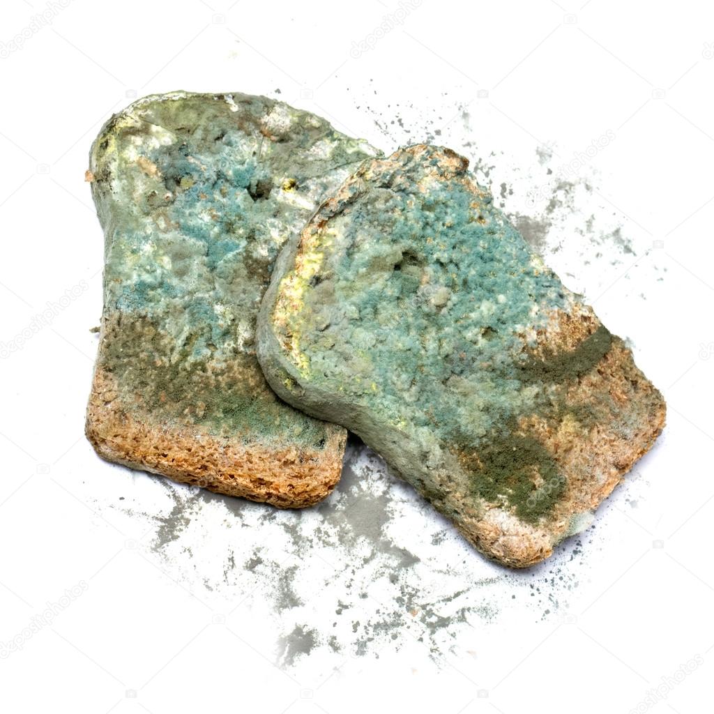 mold bread